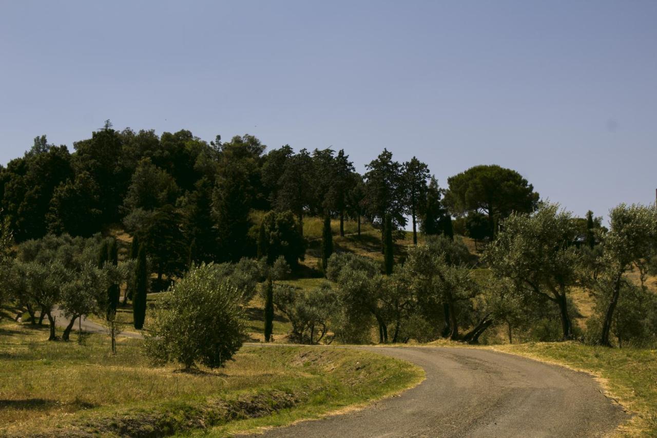 Aia Leccioni Agroturismo Micciano