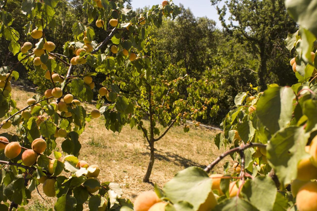 Agroturismo Aia Leccioni