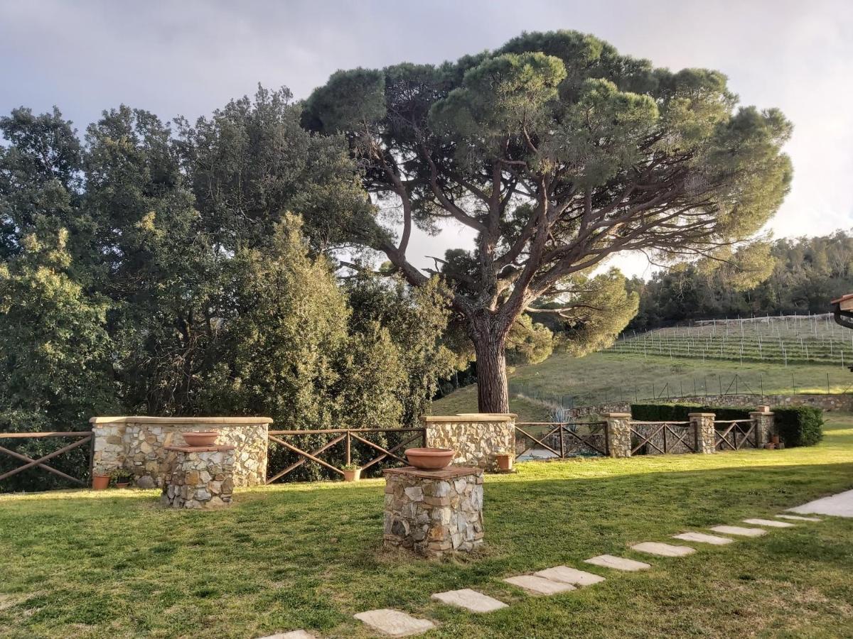 Agroturismo Aia Leccioni *